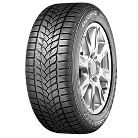 195/65R15 91H SNOWAYS ERA +